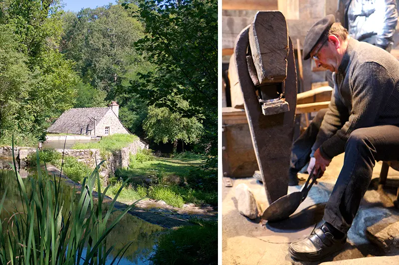 Martinet de la Ramonde à La Bastide l'Eveque